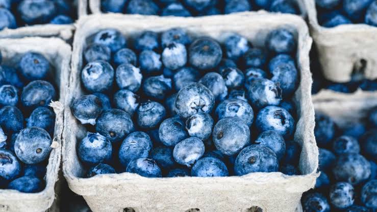 Fresh and Frozen available