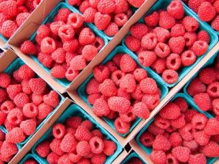 Fresh and Frozen available
