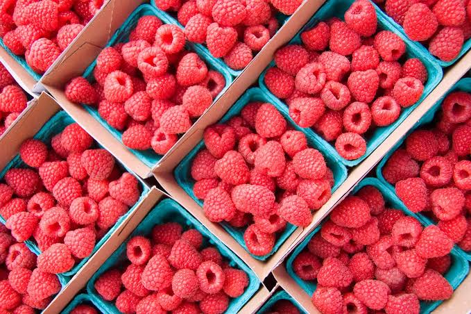 Fresh and Frozen available