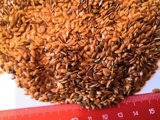 We offer flax seeds from Africa for delivery. Very