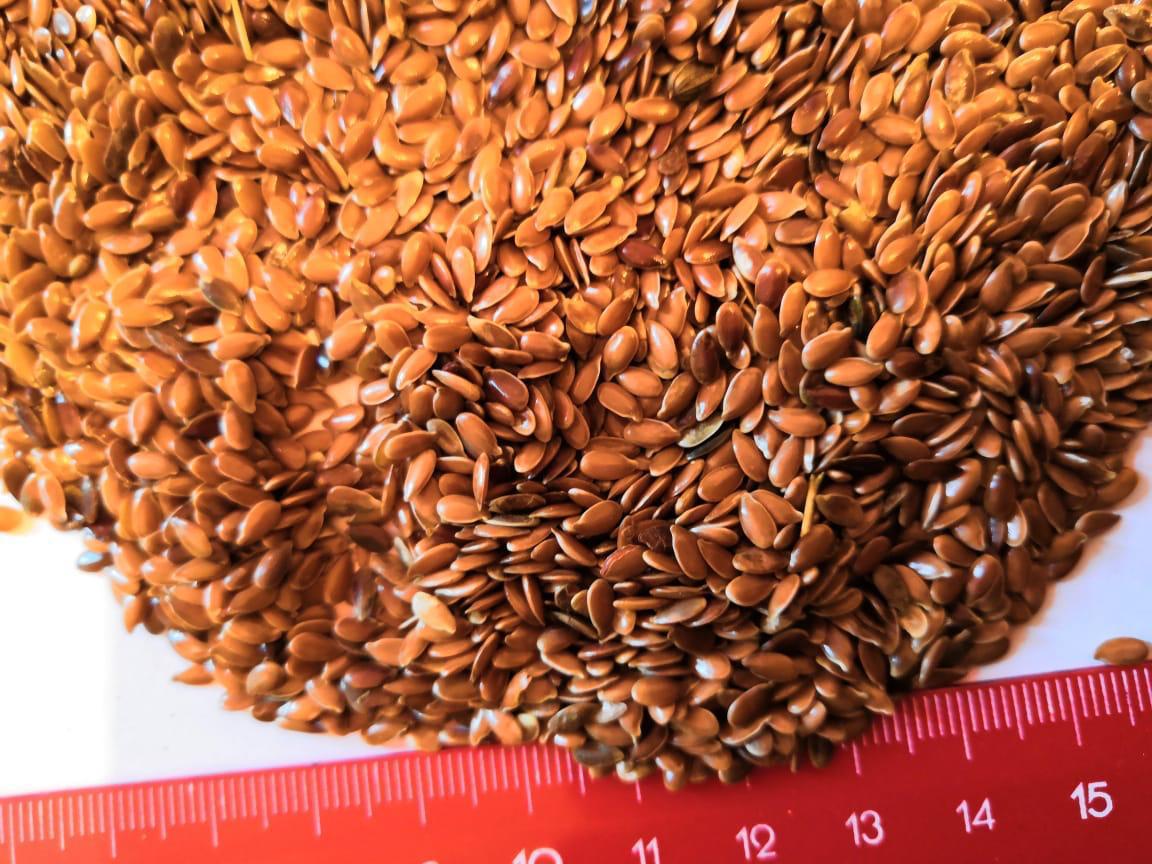 We offer flax seeds from Africa for delivery