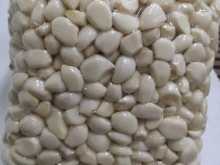 For sale: Polish, Spanish, violet and morado garlic, garlic