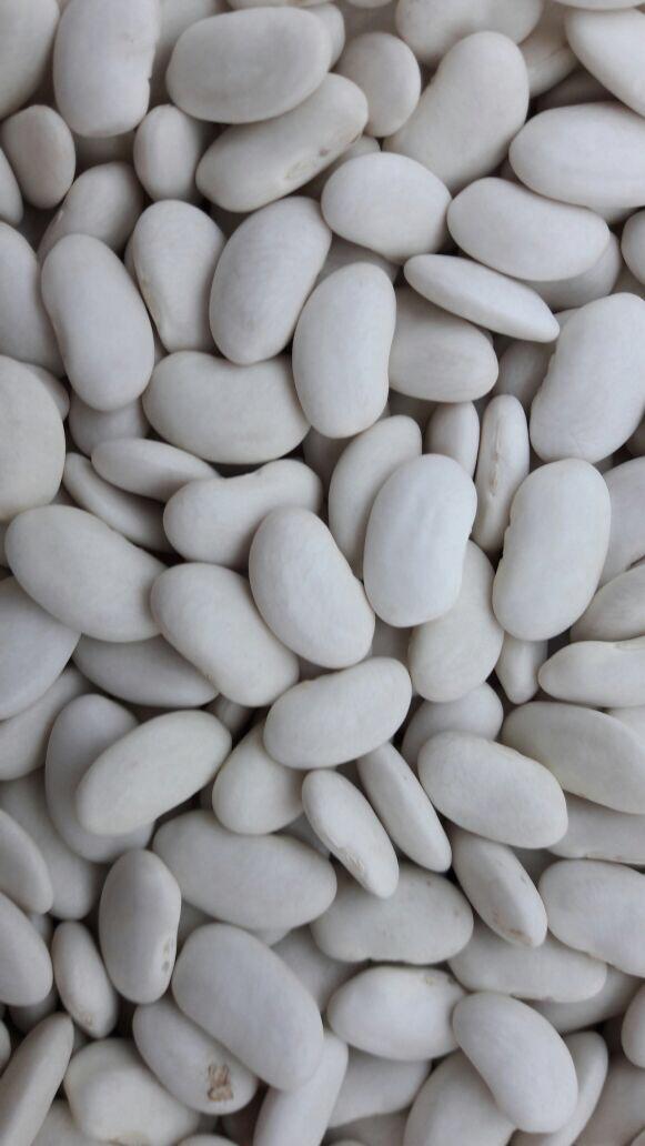 We sell beans of different varieties and different calibers