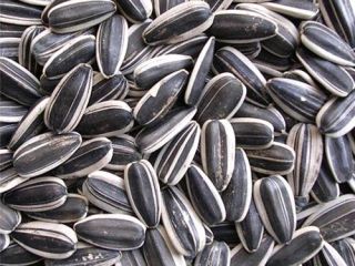 We are the cultivating Factory /Exporter of Sunflower Seeds