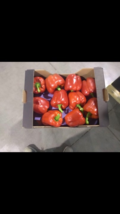 For sale California red pepper Class 2xG Country of origin Spain Parcels 5 KG /