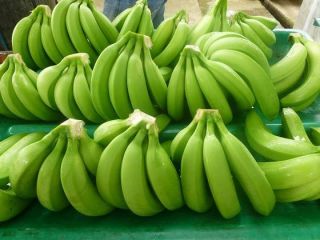 We are the leading exporter of Fresh Cavendish Banana,