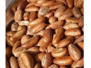 bitter kola for sale, please contact us if you