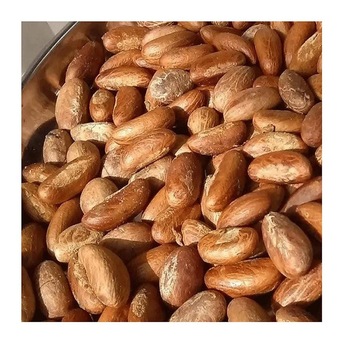 bitter kola for sale, please contact us if you are interested