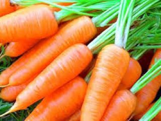 fresh carrot from the Uzbekistan If you want to