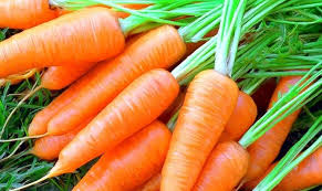 fresh carrot from the Uzbekistan If you want to contact phone number for English language