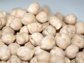 We offer 24 Mt chickpeas, quality: 6+ Sortex purity