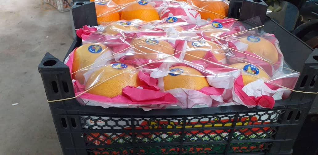 Buy fresh oranges from Syria at a low price from us