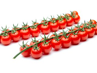 A very beautiful and numerous bouquet, it is a