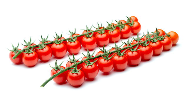 A very beautiful and numerous bouquet, it is a tomato with an exceptional consistency and a long post-harvest life