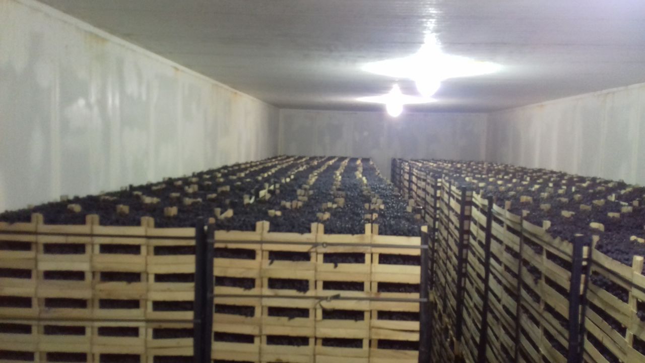 Poamă Moldova, natural orchard product