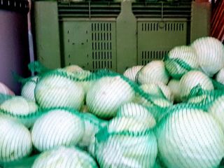 I will sell cabbage