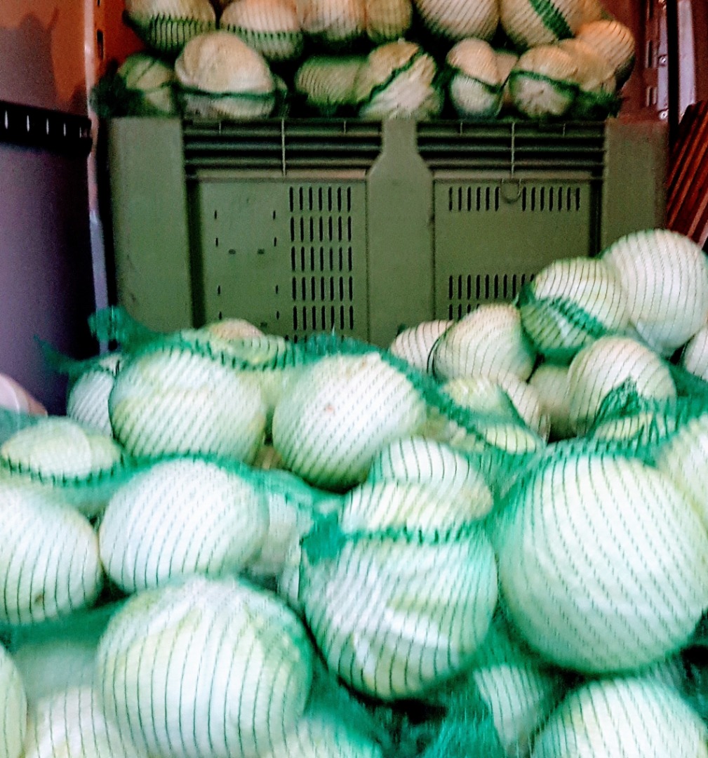 I will sell cabbage