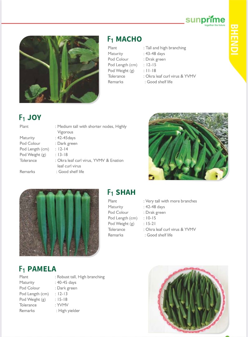 Bhendi ( Okra leaf curl ) Dark green Good shell life Tall and high branching