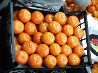 Origin: Turkey Size: medium Rind: thin; not easy peelable;