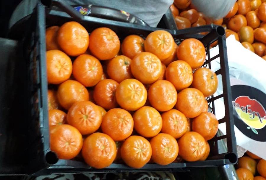 Origin: Turkey Size: medium Rind: thin; not easy peelable; surface flat Flesh: orange; soft, very juicy; flavor very rich and lively Juice Content: 42% Seeds: