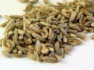 We offer Bio Fennel seeds - bitter.