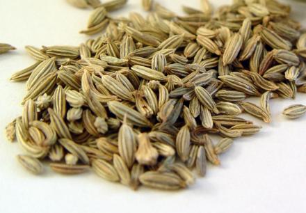 We offer Bio Fennel seeds - bitter