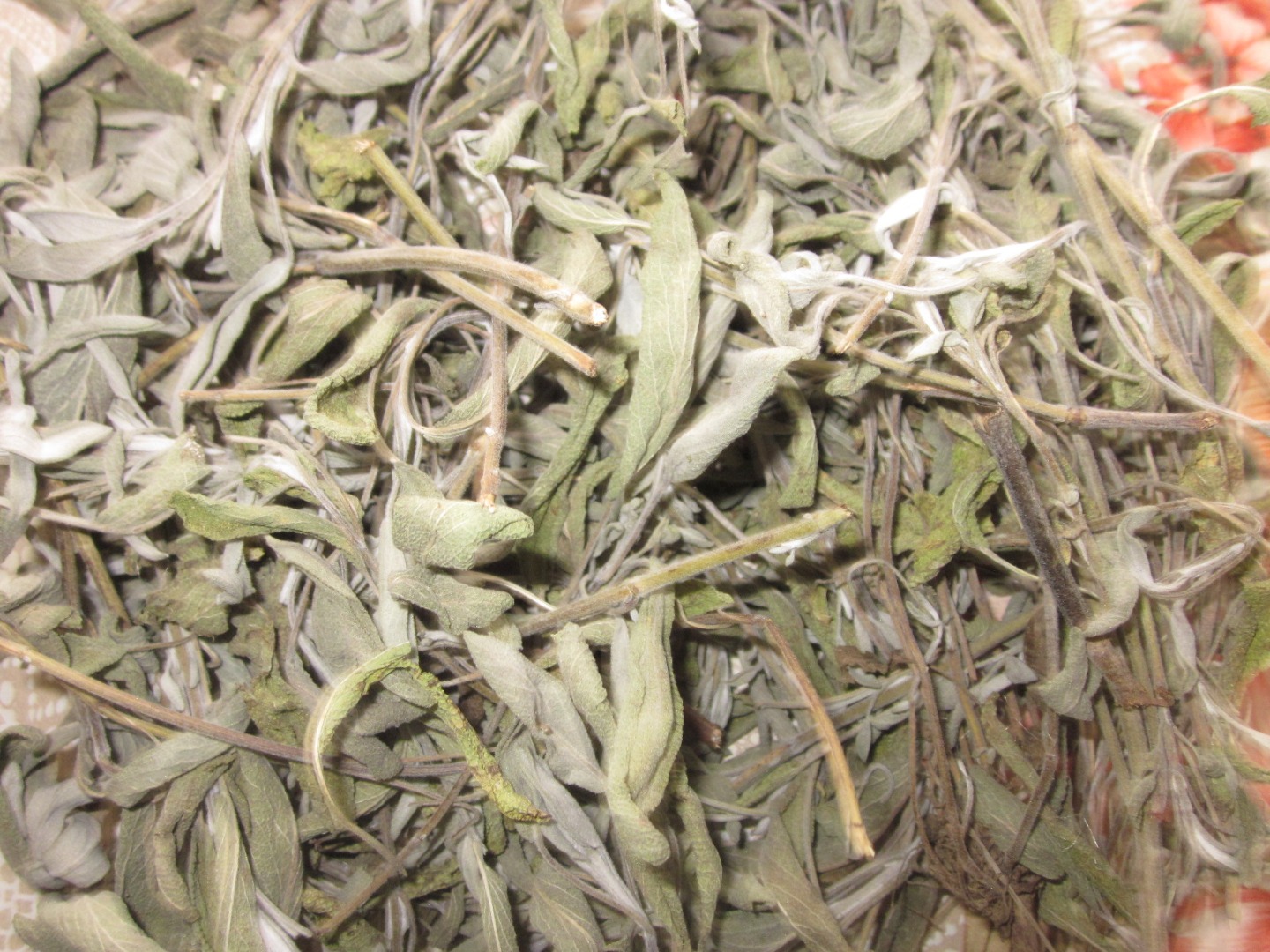 Offer: tea (sage), Salvia officinalis, vintage 2020 Sprouts / dried / -10lv / 1 kg