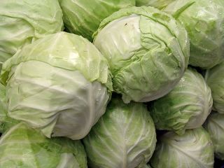 Fresh cabbage is for sale we can supply fresh