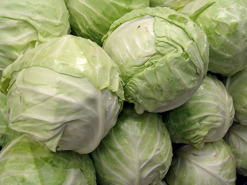 Fresh cabbage is for sale we can supply fresh carrots, onions, cabbage