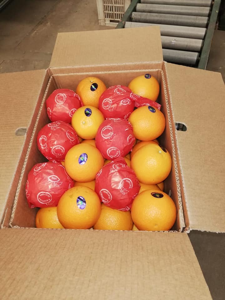 oranges