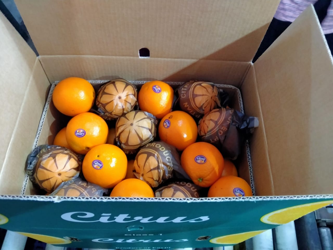 Best orange from Eygpt for juice and the best navel orange