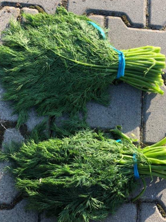 Hello, I have to offer Iranian dill, price per kilo 15 PLN, for ordering a larger quantity price negotiable, dill packed 20 kg we issue a VAT invoice
