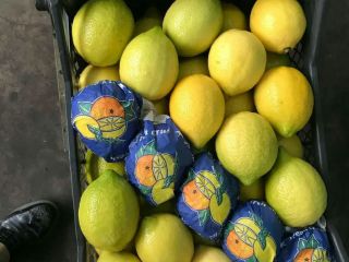 Lemons variety Lamas origin Turkey, class 1, caliber 3.4,