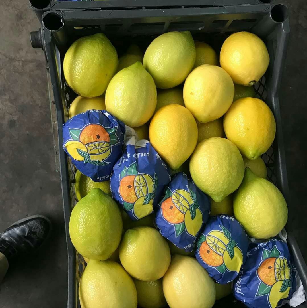 Lemons variety Lamas origin Turkey, class 1, caliber 3.4, packed in plastic boxes of 10 kg, minimum order 1 car