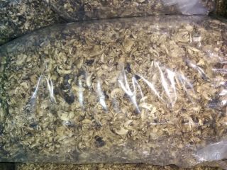 for sale dried mushroom - sliced ​​and dried mushroom
