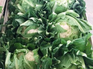 Cauliflower, import from France, nice, fresh, 6 pieces /