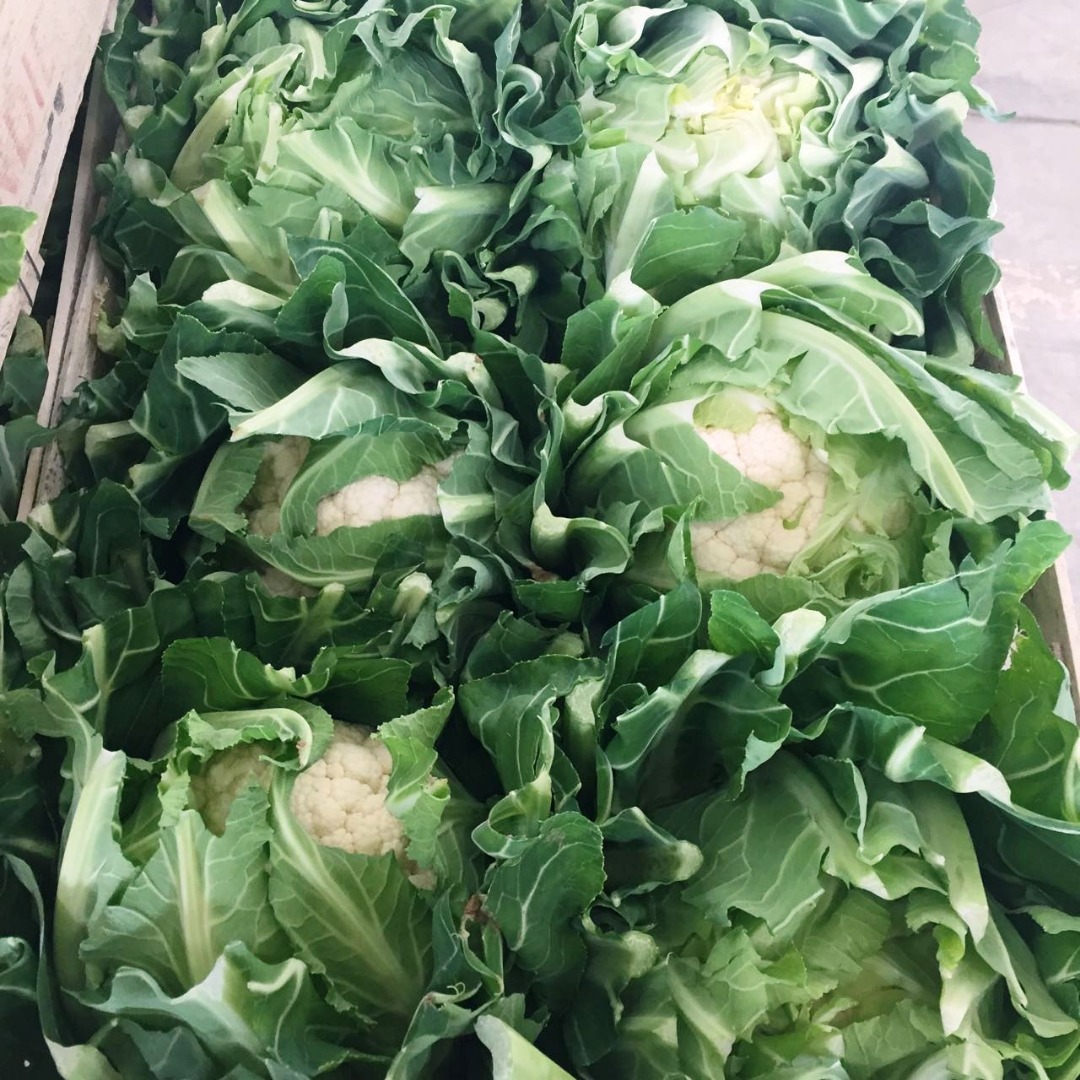 Cauliflower, import from France, nice, fresh, 6 pieces / wooden crate, for pickup in Grójec