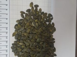 We are a direct company of oil seeds, grains,