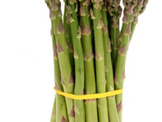 Sell asparagus in wholesale season 2020.