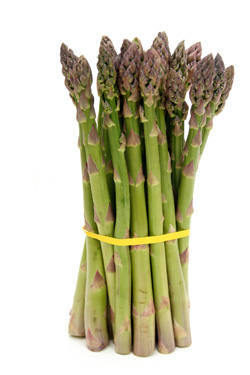 Sell asparagus in wholesale season 2020