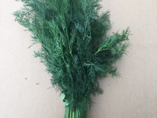 I will sell dill Country of origin Iran Goods