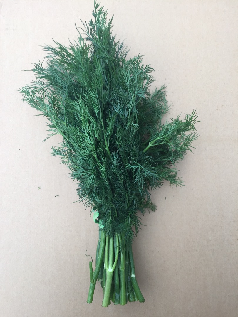 I will sell dill Country of origin Iran Goods on site in Poznań Length over 30 cm Packing: 20 kg / carton Dark green dill, fresh