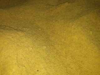 I will sell full-fat soybean meal without gmo, possible