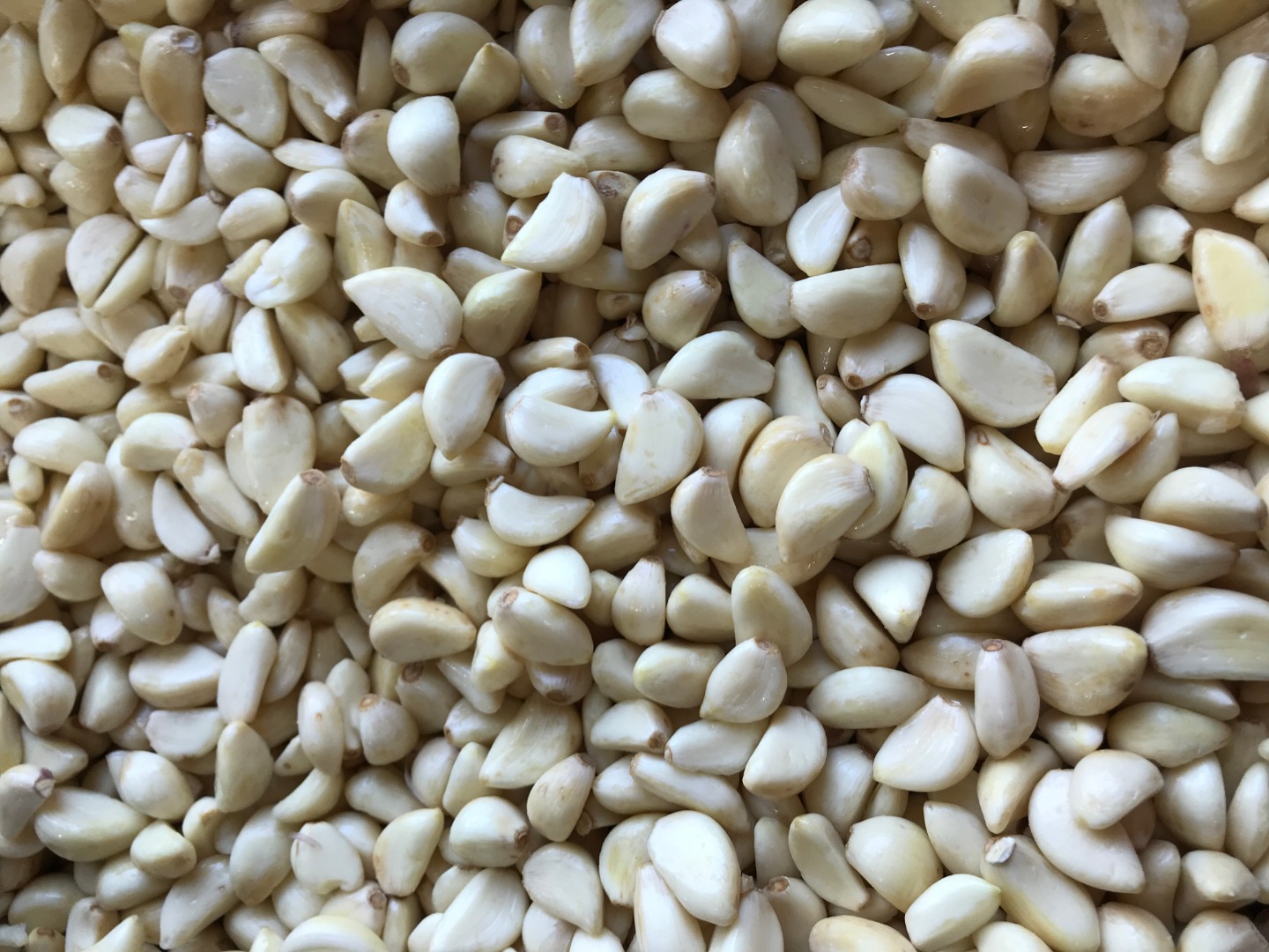 I will sell Polish Harnaś garlic peeled in white from my own farm