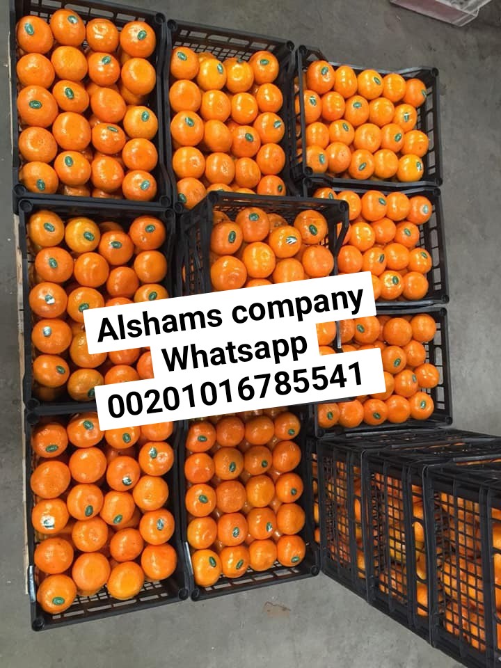 tangerine ( mandarin ) Origin : Spanish