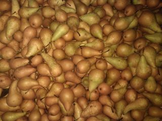 I will sell 30 tons of pears. Conference