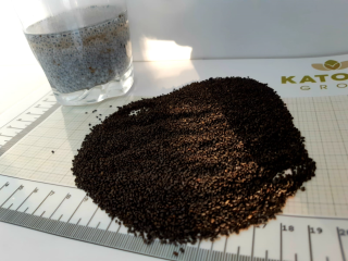 Sweet Basil Seeds - great quality! Better that Chia
