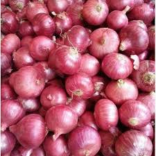 we have fresh harvest of red and yellow onion, Caliber :55+ please contact directly, call: email: wechat:omarkjerry0