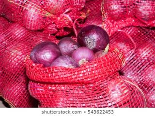 we have fresh harvest of red and yellow onion,