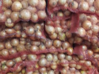 for sale full-quantity onions Dariusz Kowalczyk NIP: Regon: e-mail